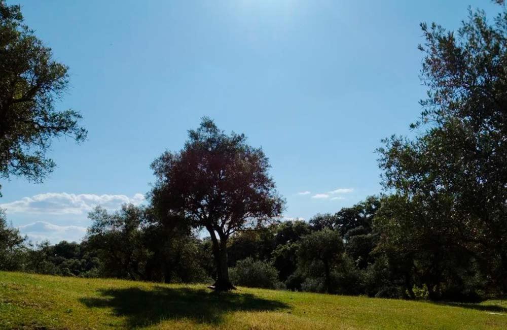 Cortijo Rural Flor De Cazalla Касала де ла Сиера Екстериор снимка